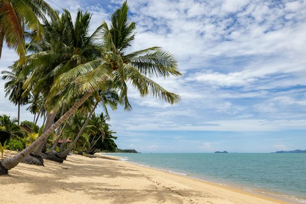 Location voiture à Nantes : explorez les meilleures offres !